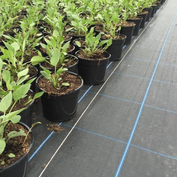 Load image into Gallery viewer, Ground cover geotextile for preventing weed growth